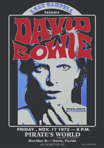 Insegne in metallo 530 110 DAVID BOWIE Vintage Retro Man Cave Garage capannone music pub