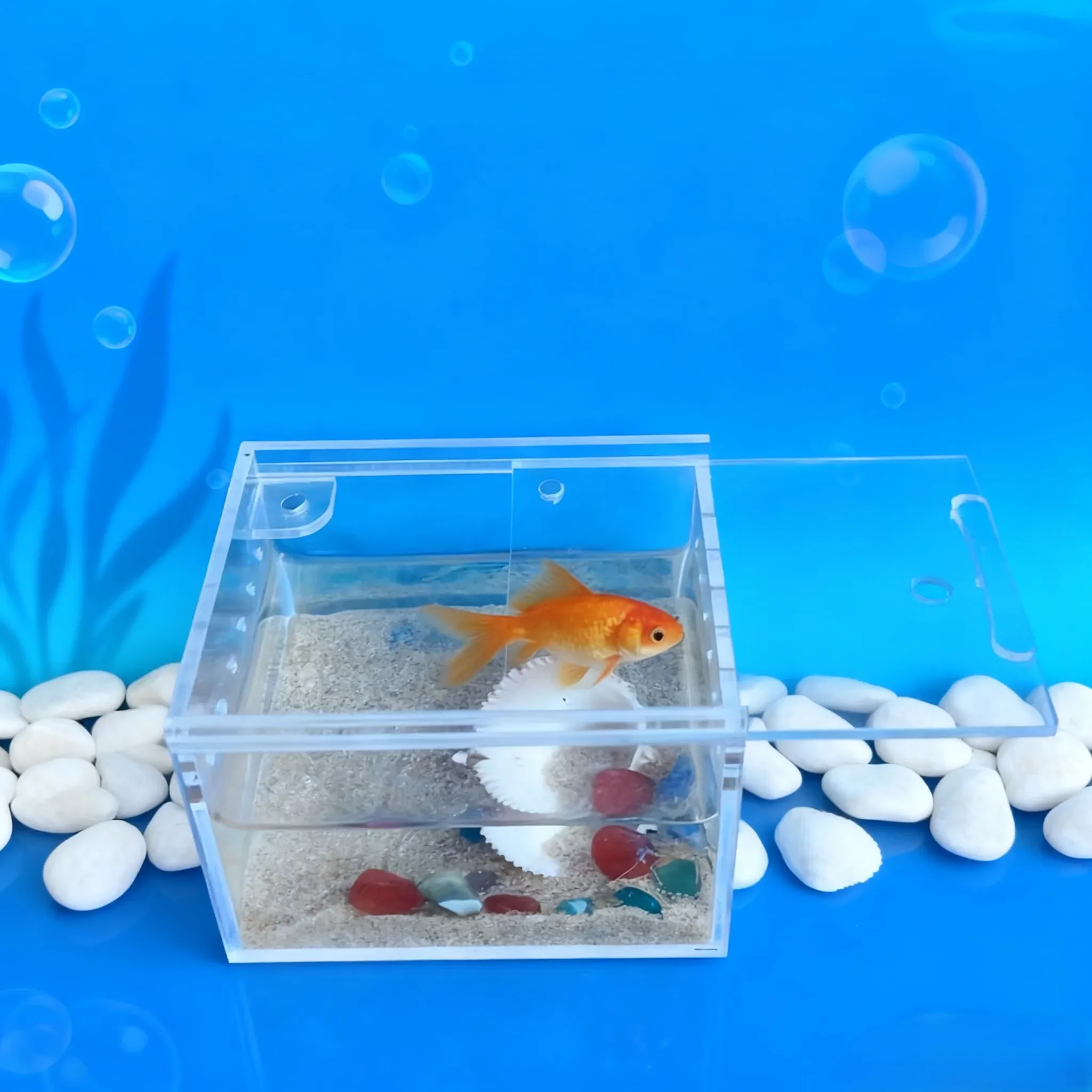 360 Degree Acrylic Larva Breeding Box With Sliding Lid And Magnetic Closure For Housing Small Climbing Pets And Insects
