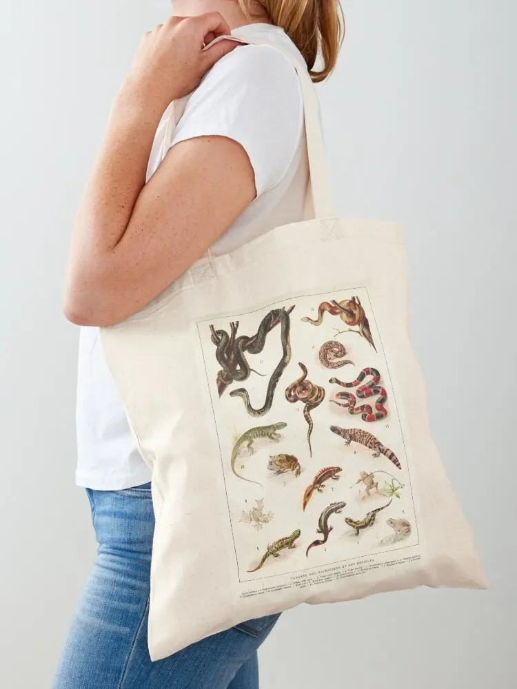 Adolphe Millot - Batraciens et reptiles - French vintage zoology poster Tote Bag bags woman 2025 tote bag custom tote bag