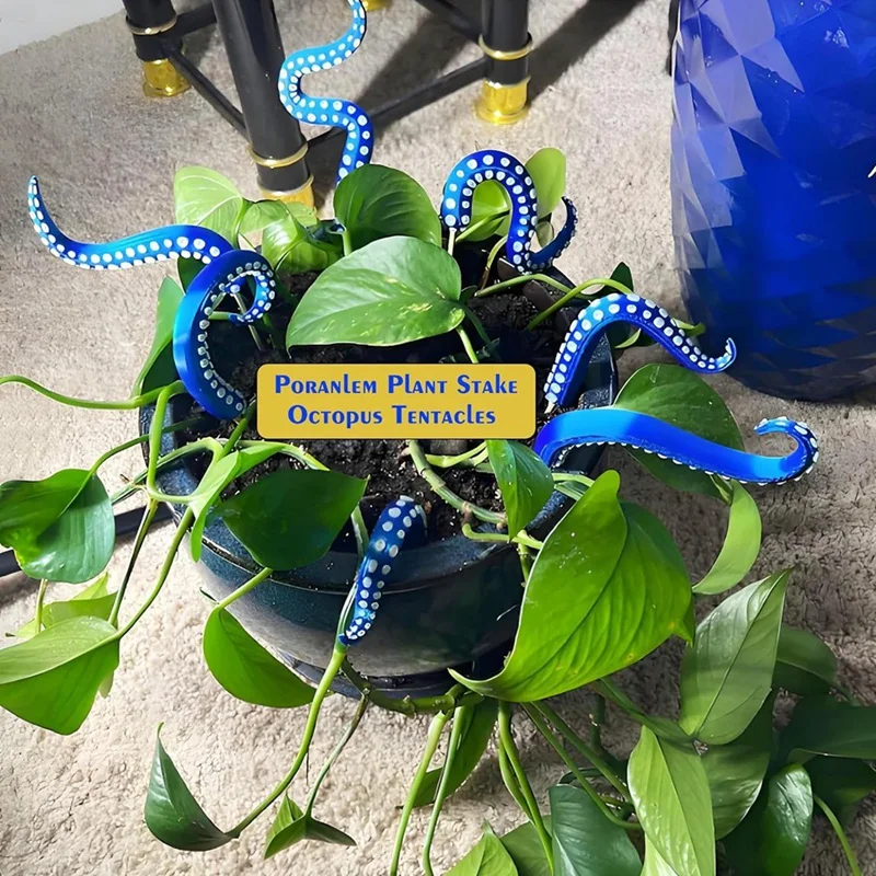 PORK-7PCS Seamonster مخالب الأخطبوط اللامسة حصة النبات حديقة حصص للنباتات ديكور الأخطبوط اللامسة حصص