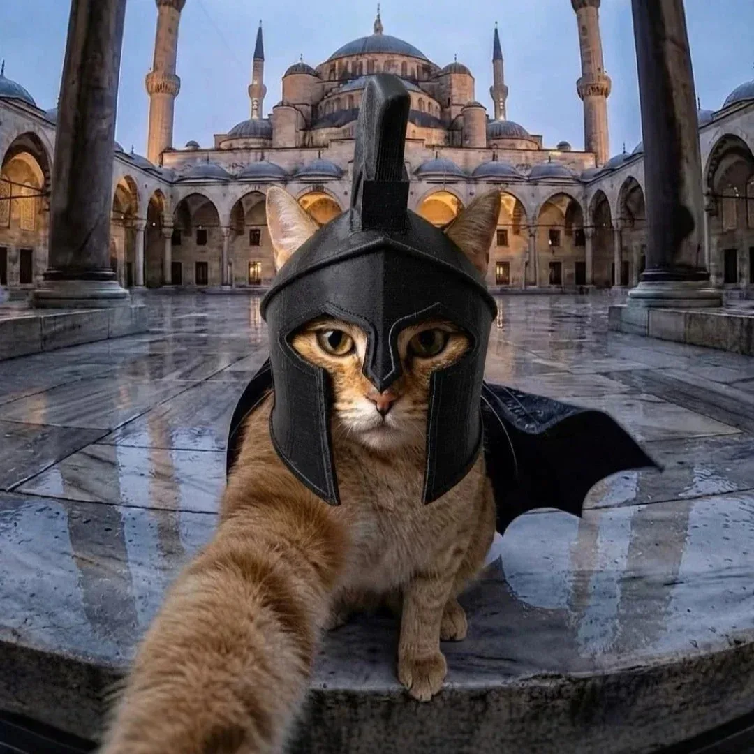 3D Printed Cat Spartan Helmet, Black Pet Armor Cosplay Headgear, Funny Figurine Desk Statue, Home Decor Collection Gift