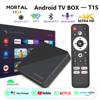 Mortal T1S Google Netflix TV Box Android 14 Allwinner H313 2GB 16GB Support 1080P H.265 4K Wifi6 BT5.0 Voice Input Media Player