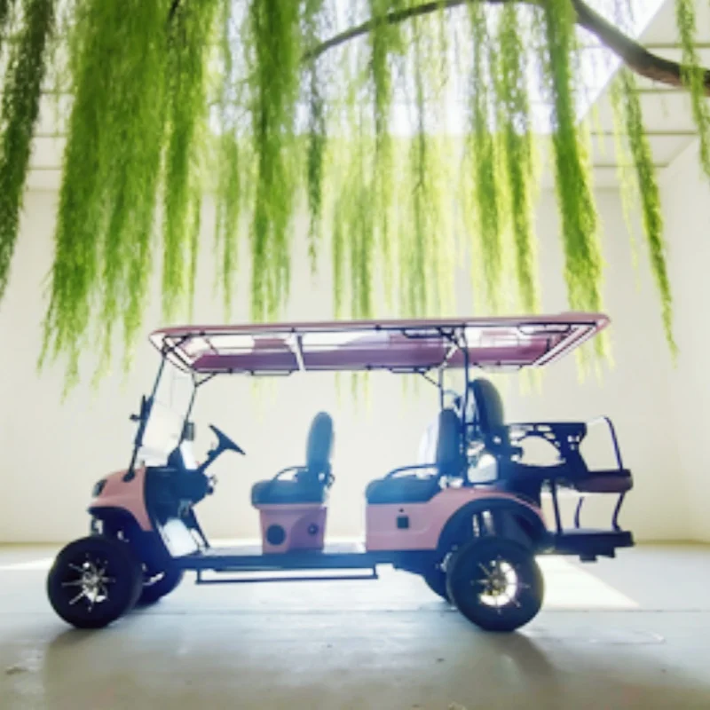 

72V 6-Seater Electric Golf Cart Adult & Children Buggy With Club Car Afable Price Made in China For TranSporTing Tourists