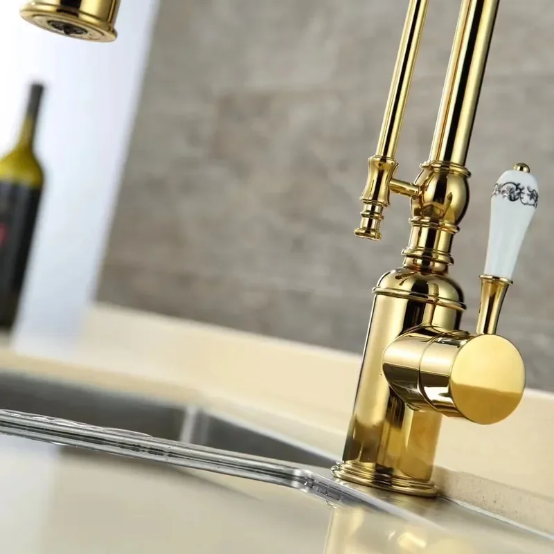 European Style Titanium Kitchen Faucet Hot and Cold Water Double Outlet All Copper Rotating Tap for Vegetable Basin Sink
