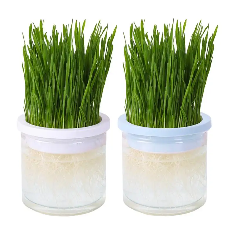 

Pet Cat Grass Pot Soilless Hydroponic Planting Growing Cat Grass Germination Nursery Pot Reusable Supplies