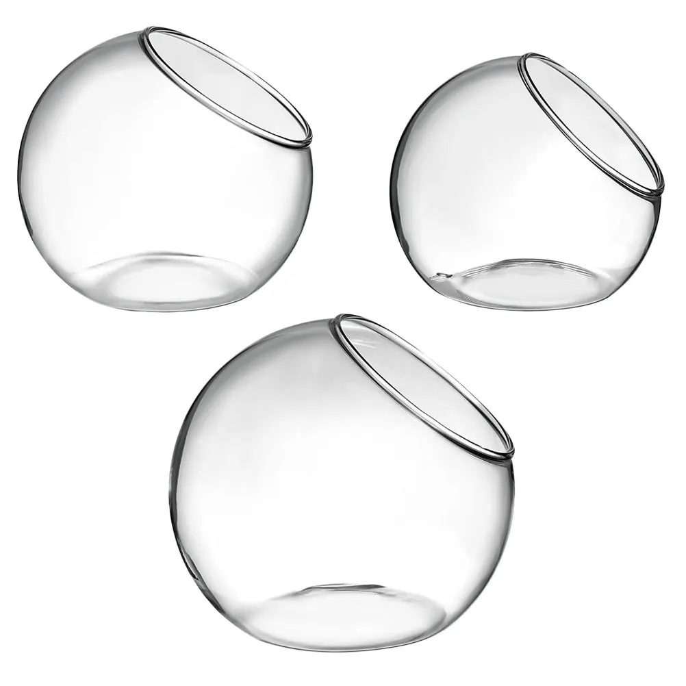 

3Pcs Glass Terrarium Water Cultivation Vessel Smooth Surface Creative Slant Design DIY Mini Garden Decor Glass Terrarium