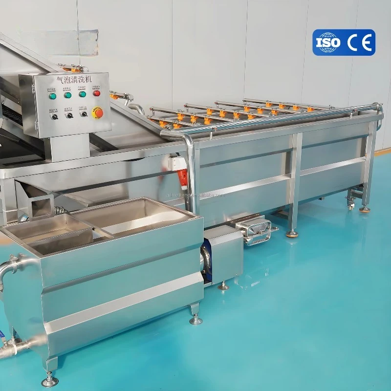 Hot Sale Mushroom Endive Bubble Washing Machine Automatic Vegetable Fruit Tomato Lemon Cleaning Food Processing Washer Equipment