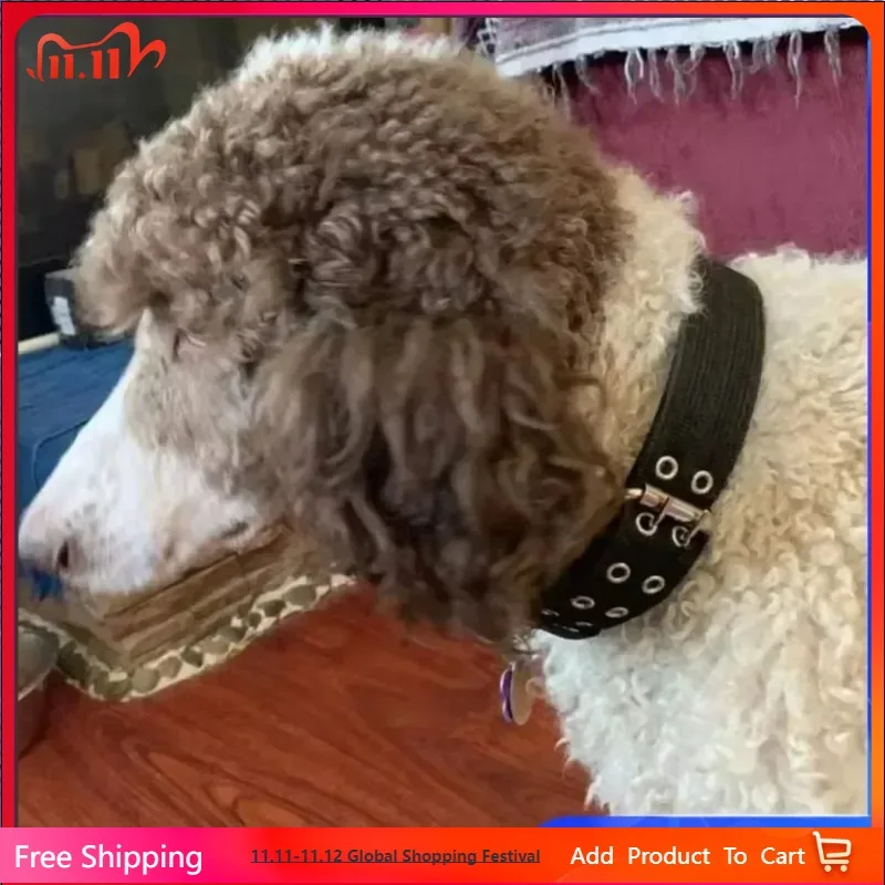 

Nylon Dog Collars Adjustable Pet Neck Strap for Small Medium Large Dogs Cat Neckband Foam Padded Dog Collar Dog Accessories