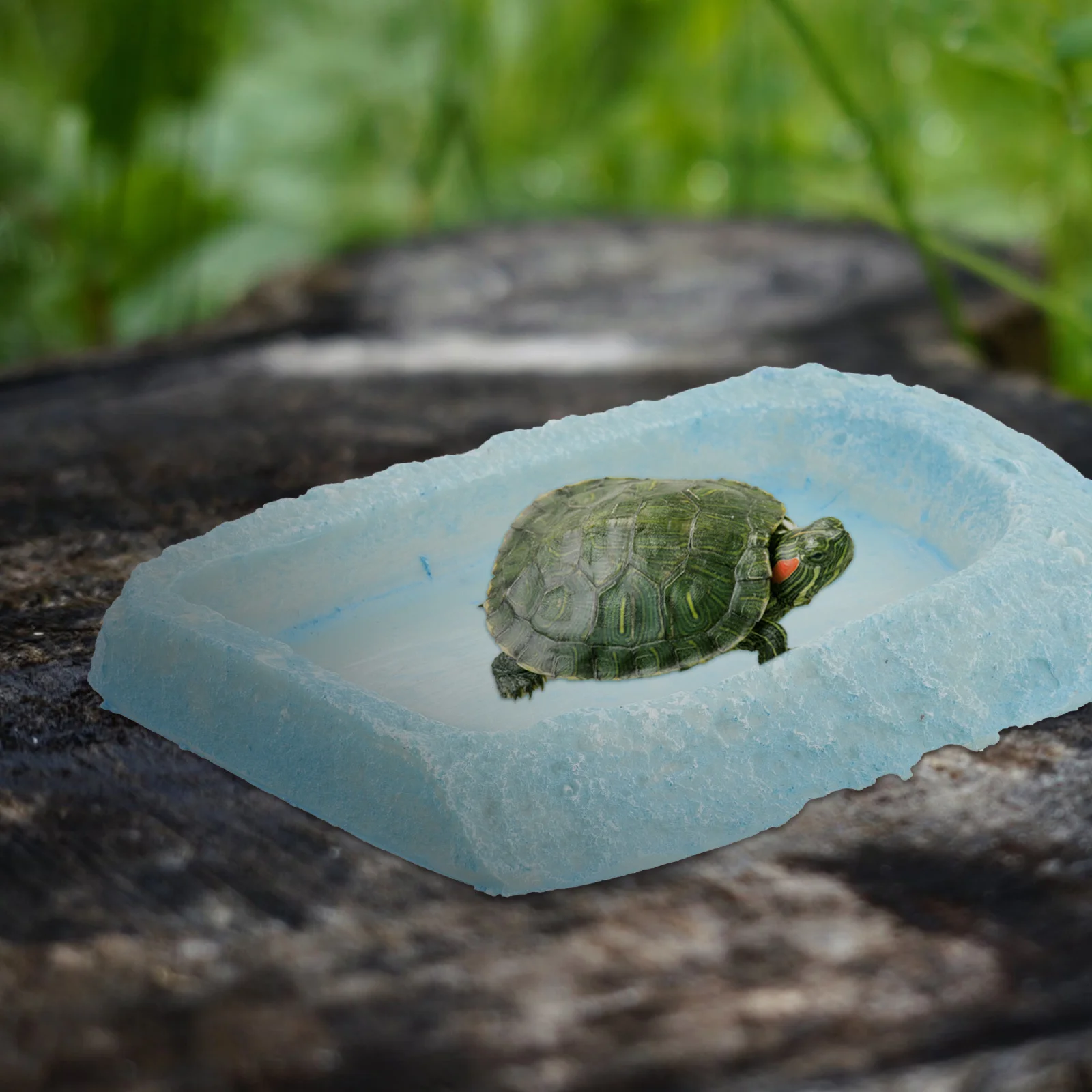 

Reptile Feeding Dish Resin Material Long Lasting No Odor Safe for Pet Drinking Eating Lizards Geckos Reptile Water Bowl