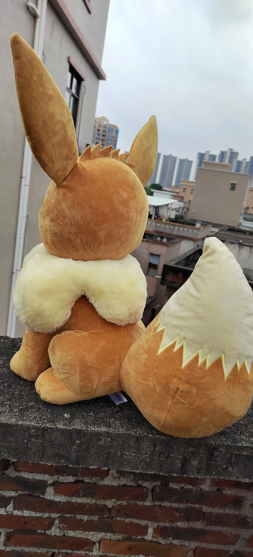 Original Japanese anime Pokemon 60cm large sitting Eevee Plush toys dolls Children\'s birthday Presents