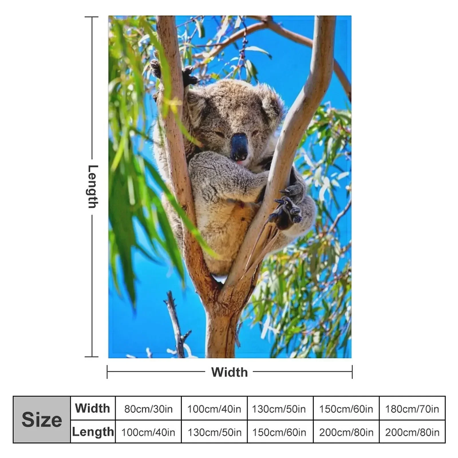 Lovely Australian Koala Bear Throw Blanket manga Nap Blankets