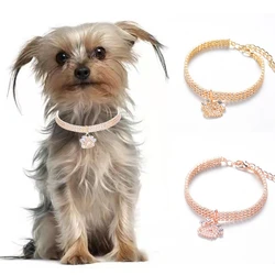 Paw Shaped Rose Gold Dog Collar Lovely Solid Zircon Necklace for York Dogs Golden Kitten Collars Adjustable Pet Cat Accessories