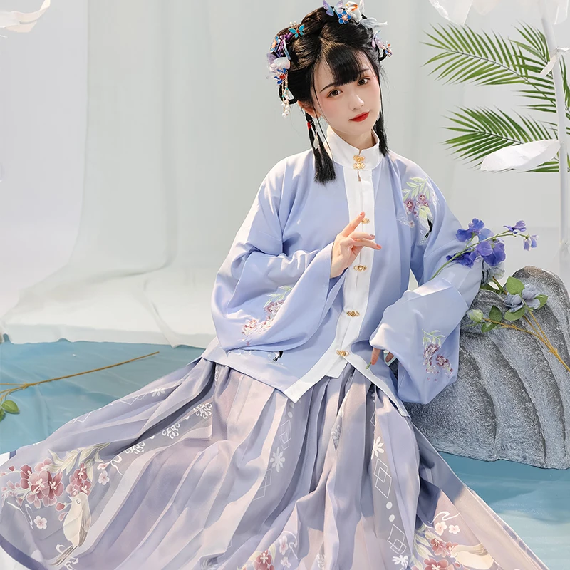 Hanfu Ming – vêtements traditionnels chinois de la dynastie pour femmes, jupe plissée à col montant, tenue brodée, vêtements anciens, 2 pièces