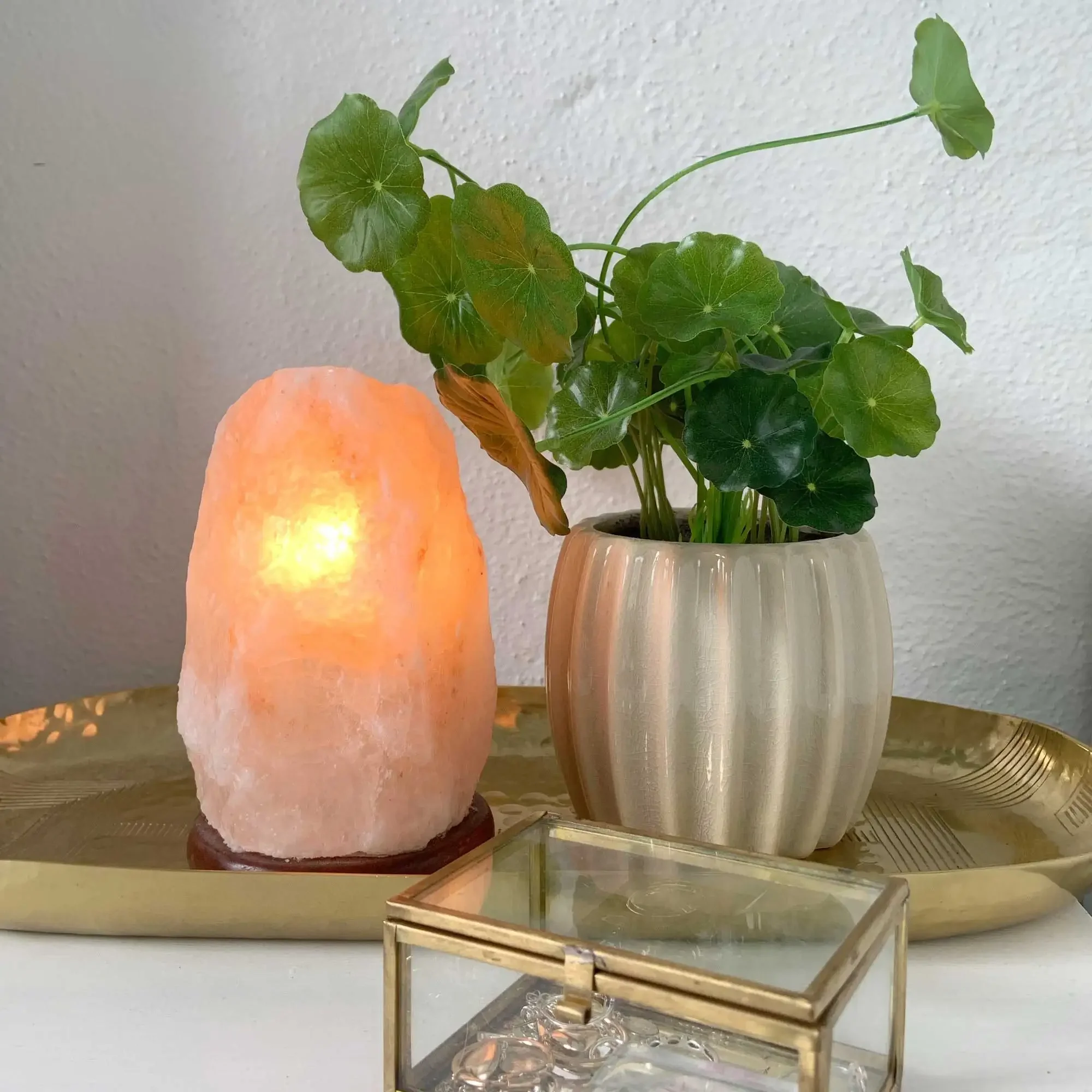 Himalayan Salt Lamp Night Light