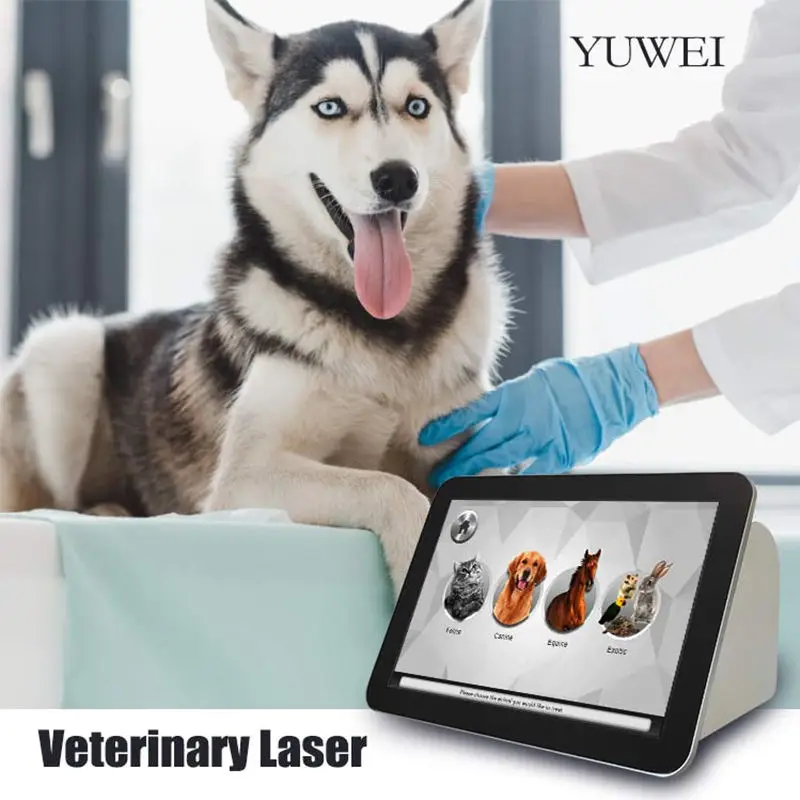 Factory New Invention High Quality Cats Body Pain Recovery Surgical Handheld 980Nm Laser Therapy Veterinary