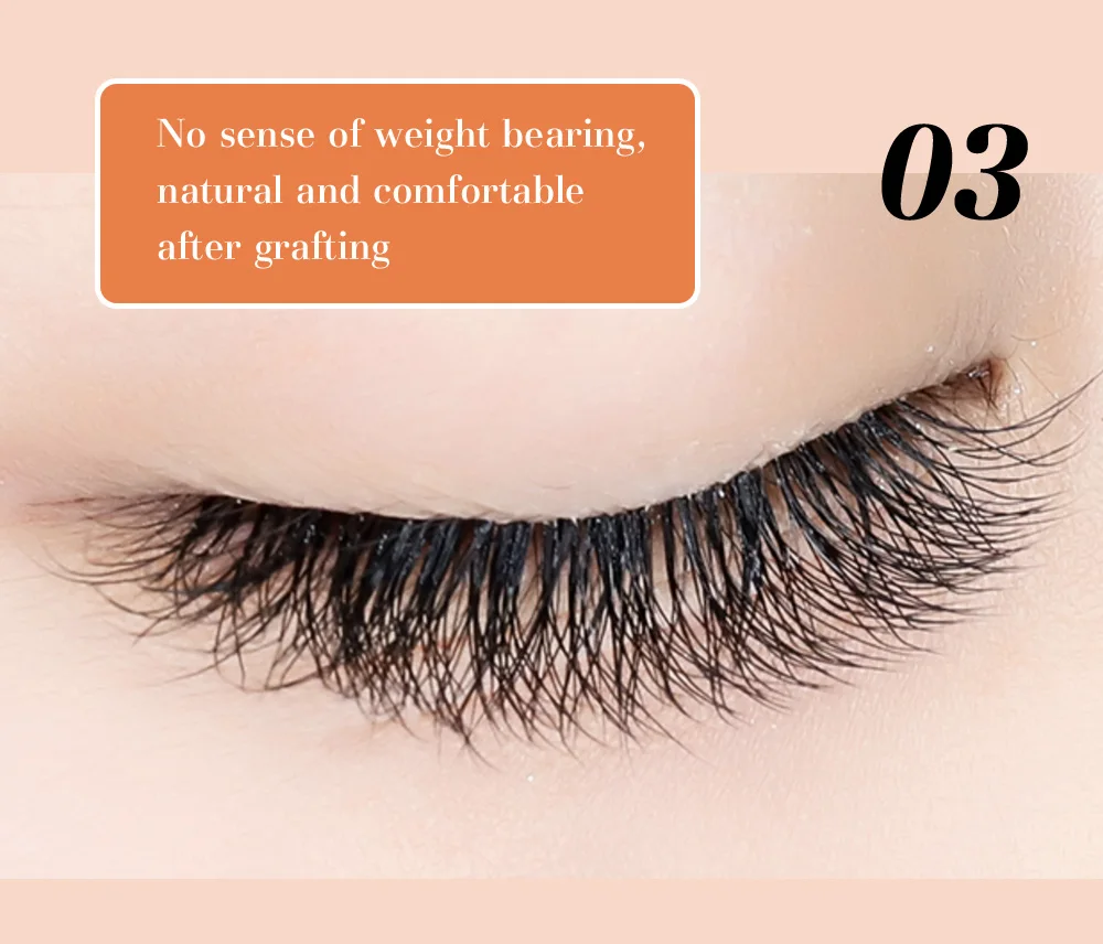 DeceMars 6D-W Shaped Eyelash Extension (12line/Tray)