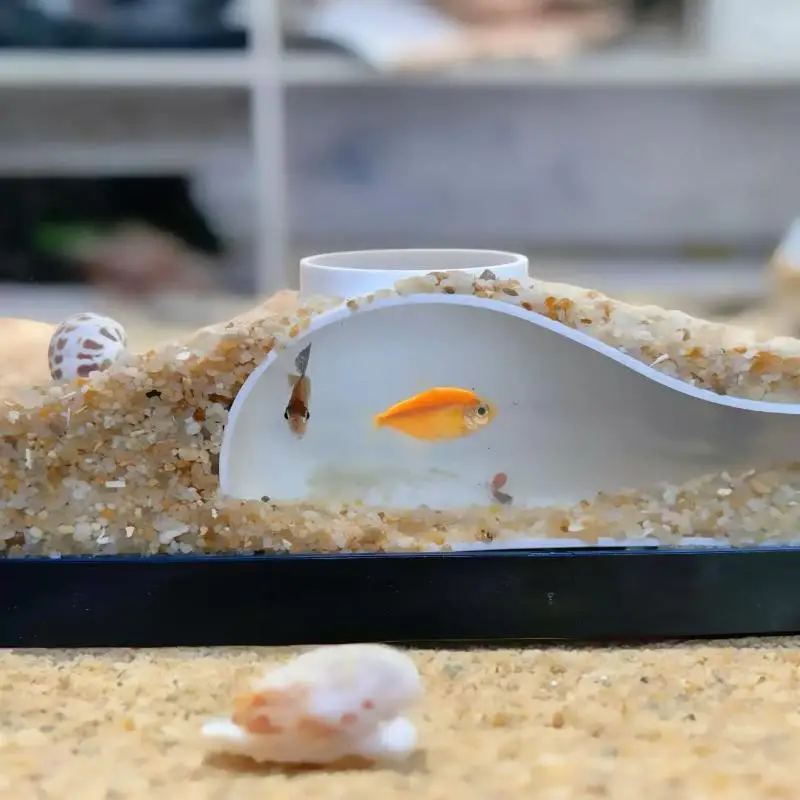 Aquarium Tunnel Hiding Cave Single Hole 3D Printed Shrimp Shelter for Betta Freshwater Tank Aquascape
