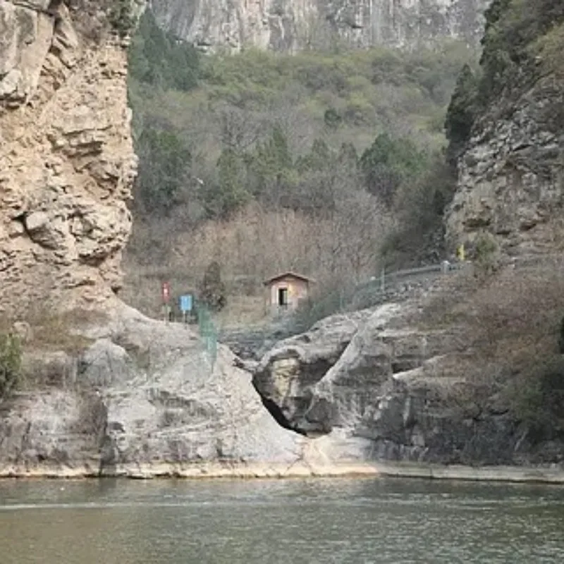 T-MOTOR F60 V-LV Br…