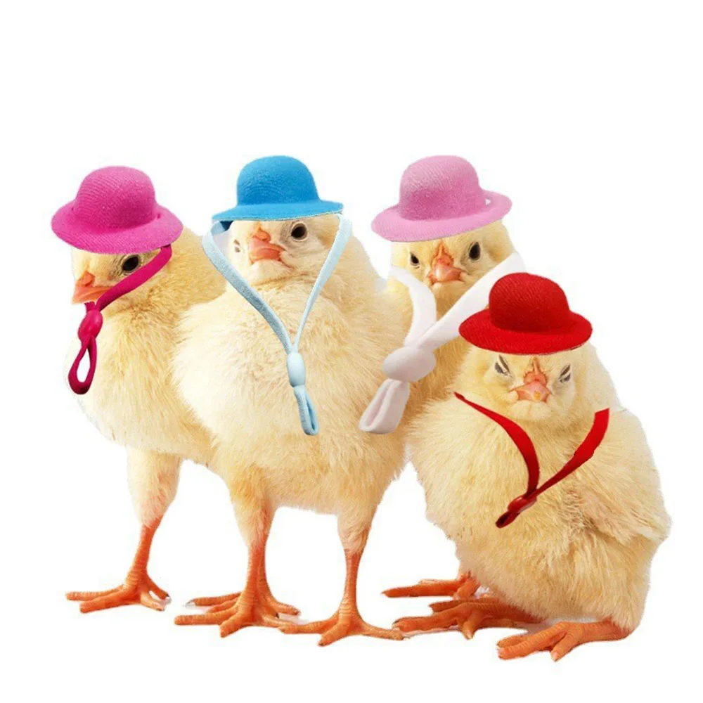 Chicken Hat For Hens Tiny Pets Funny Chicken Accessories Hen Top Hat For Rooster Duck Parrot Hamster Poultry Stylish pets Costum