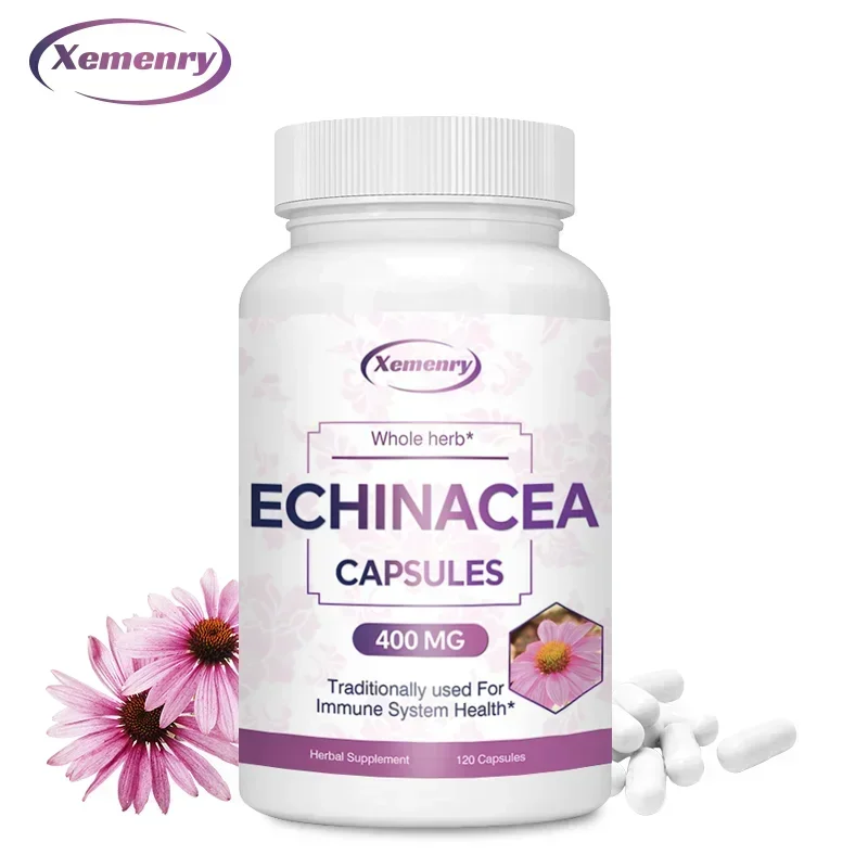 Echinacea Capsules 400 Mg - Supports Traditional Immune and Respiratory Health and Promotes Wound Recovery