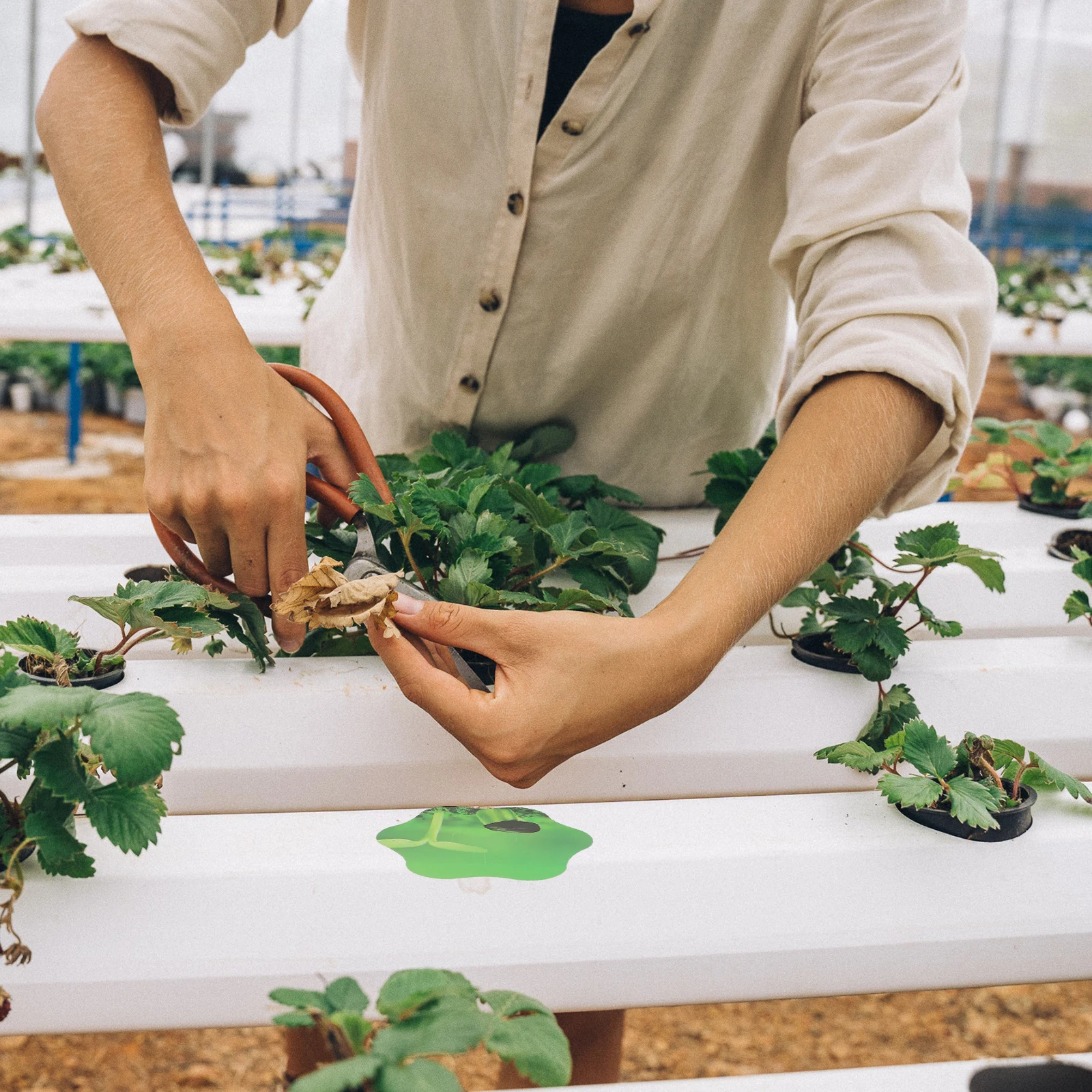 

100Pcs Hydroponic Garden Accessories Long-Lasting PVC Stickers for Grow Baskets Plant Identification Easy to Use Green