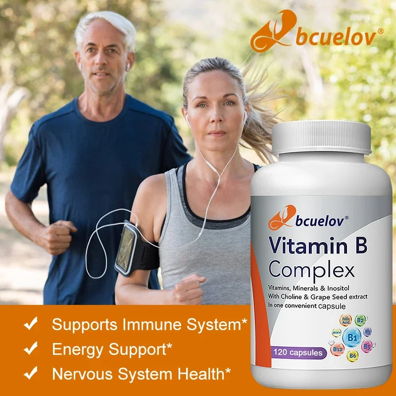 Vitamin B Complex, Tissue-Ready Vitamin B Complex Supplement with Choline for Immunity, Nervous System & Metabolism 120 Capsules