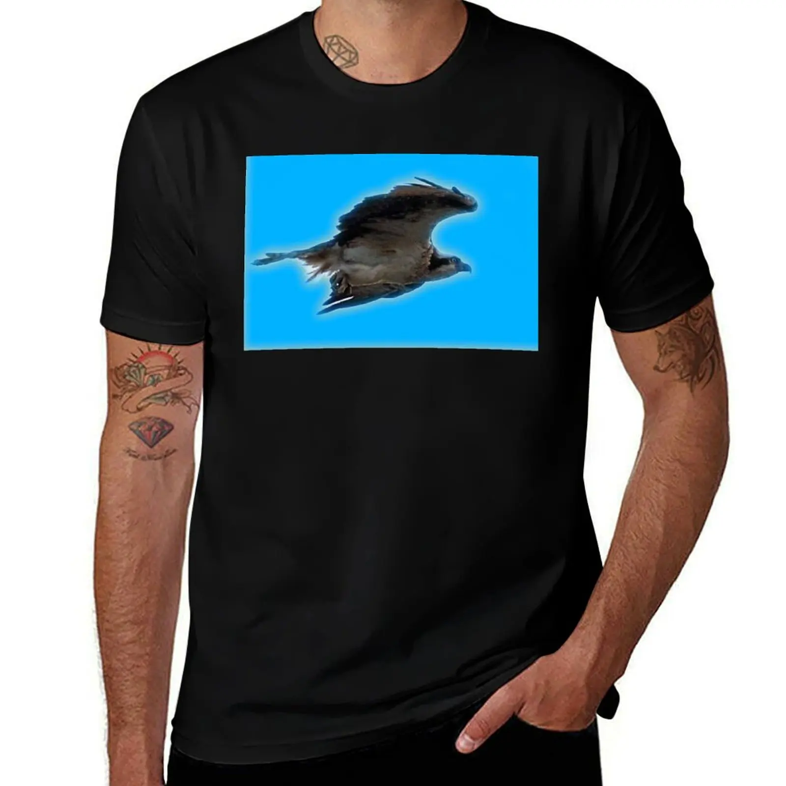 Osprey! T-Shirt man t shirt designer T-Shirt