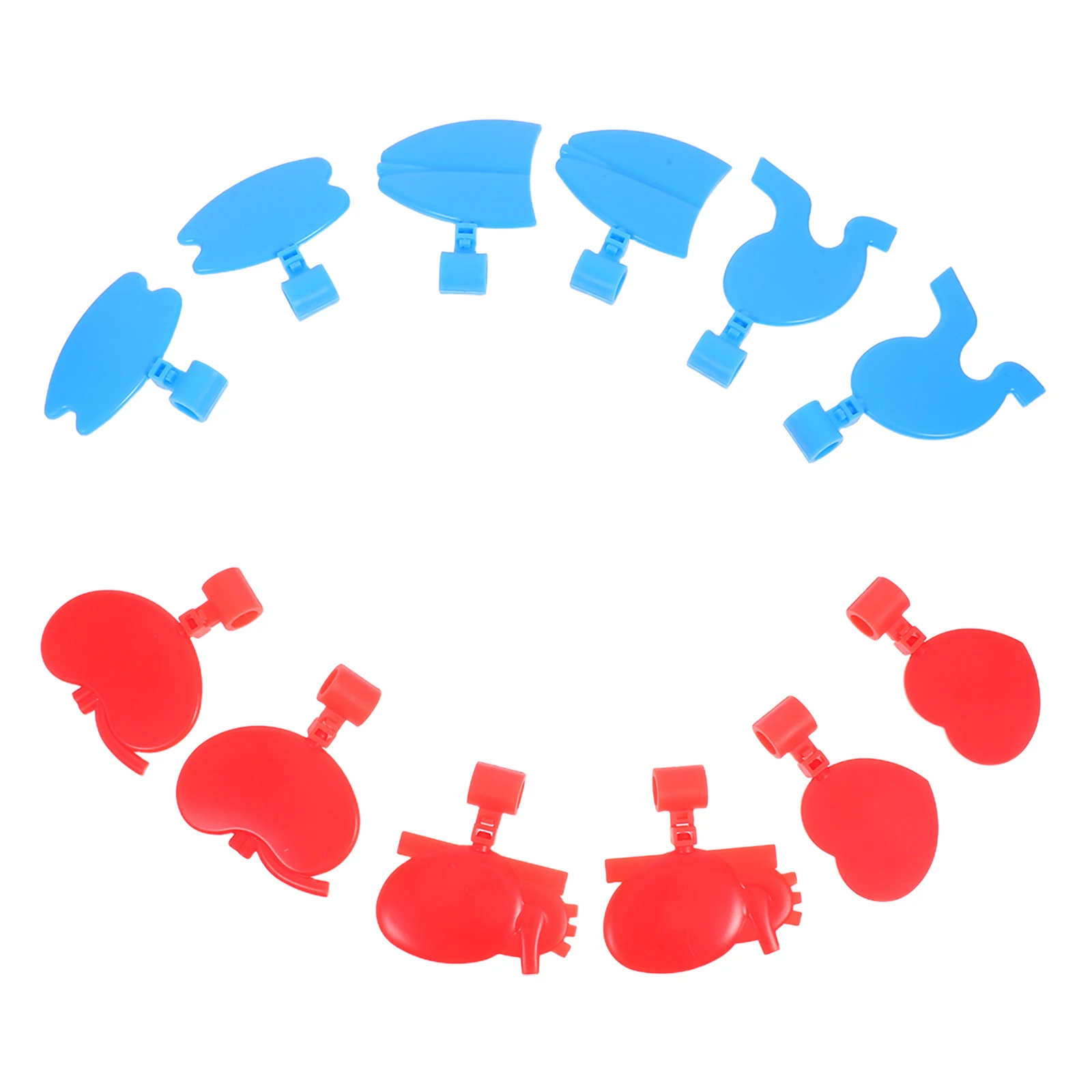 

12 шт. бирок для стетоскопа в форме органов, идентификационные подвески для медицинских работников, креативное украшение и быстрая идентификация