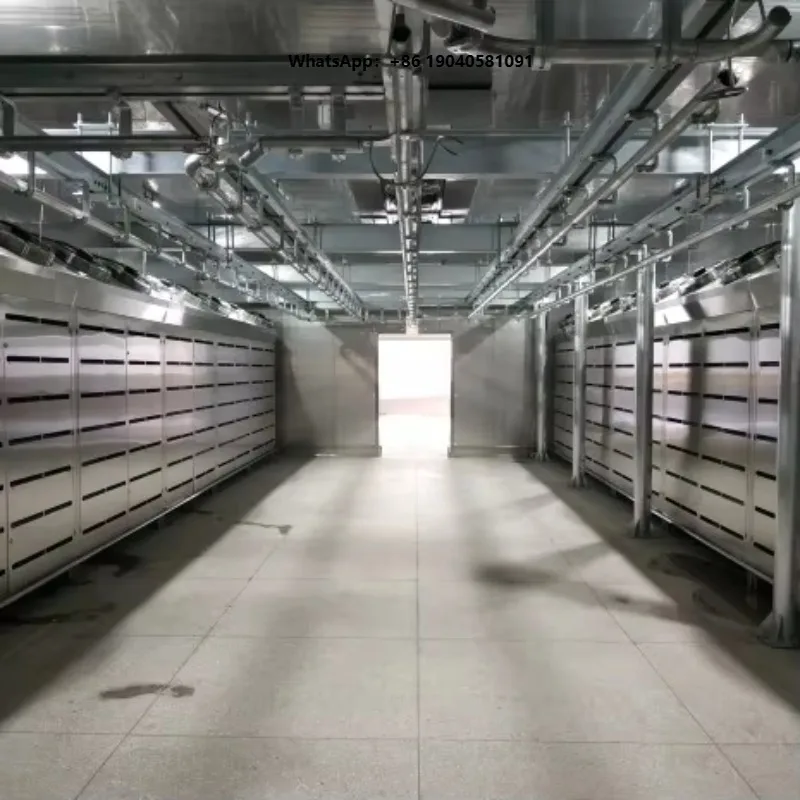 Automatic Temperature Control (Low Temperature & High Humidity) Thawing Equipment for Meat Processing