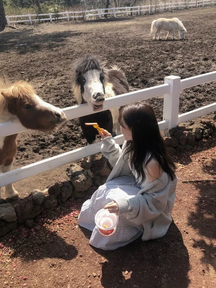 تنورة طويلة منقوشة حلوة للنساء بخصر مطاطي تنورة على شكل حرف a متعددة الطبقات تنورة Dongdaemun Sle الفنية للربيع والصيف #3