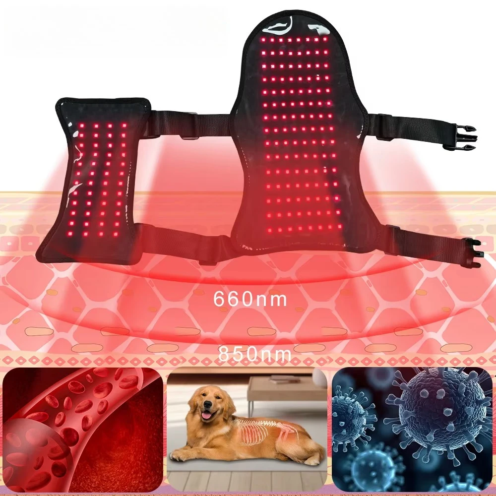 Recharge Animal Therapy Healing  Wellness 850nm Red Light Therapy Anti-inflammation Muscle Treatment Pet Care