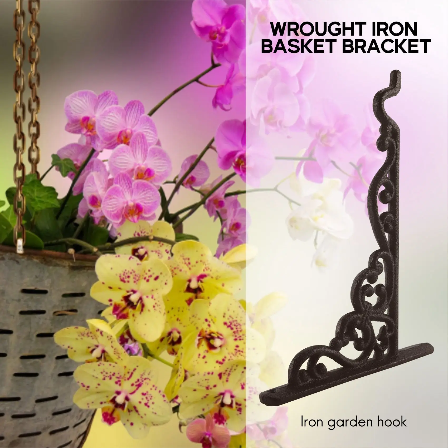 BAAG-2 Упаковка Чугунная вешалка для растений Подвесная корзина для цветов Настенный крючок с винтами, Винтажные металлические настенные подставки для кормушек для птиц, Pl