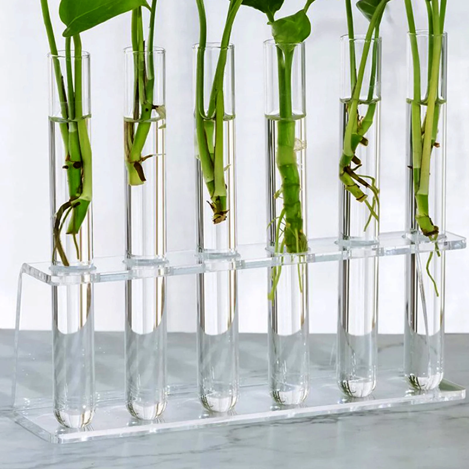 Desktop Acrylic Display Stand Man Plant Shelf Test Tube Bud Vase Holder Rack Porous