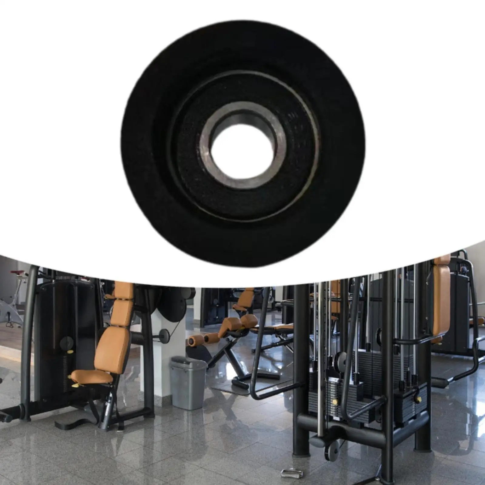 

Nylon Single 6000 Series Bearing Belt Pulley Replacement for Rowing Machines