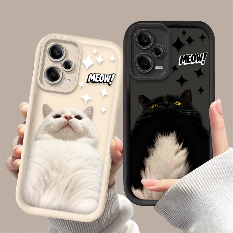 Cute Kitten Black C…