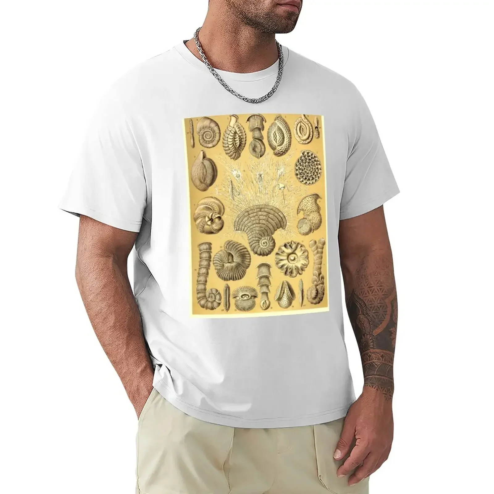 Plate 12. Thalamophora (now Foraminifera), amoeboid protozoans T-Shirt cute tops graphics oversized mens t shirt graphic