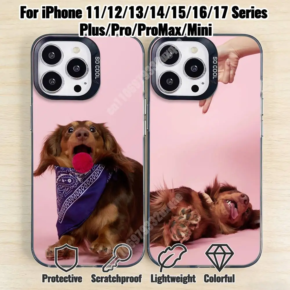 

Cute Dachshund Dog Phone Case for iPhone 17 16 15 Max Mini 14 13 Pro Plus 12 11 X XS Air IMD Cover