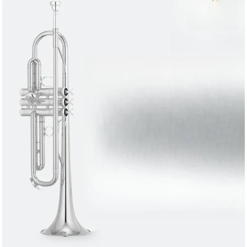 

Brass B flat small adult children beginner entry level exam major