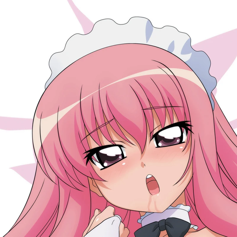 Anime Dakimakura Pillow Cover Louise Françoise Le Blanc Double Sided Print Pillow Case 120cm-180cm Custom Cartoon Character