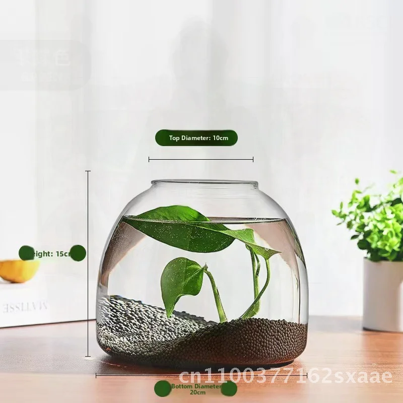 

Ecological Micro Landscape Bottle Moss Plant Glass Vase Hydroponic Fleshy Plant Jar with Lamp Fish Tank Handmade Transparent