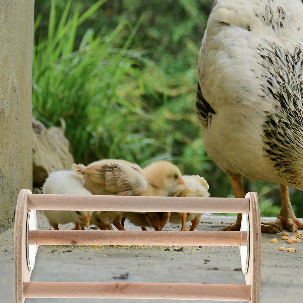 

Chick Roosting Bar For Brooder Lightweight Wooden Chicken Perch Stand Indoor Outdoor Use Multifunctional Enrichment Perch For