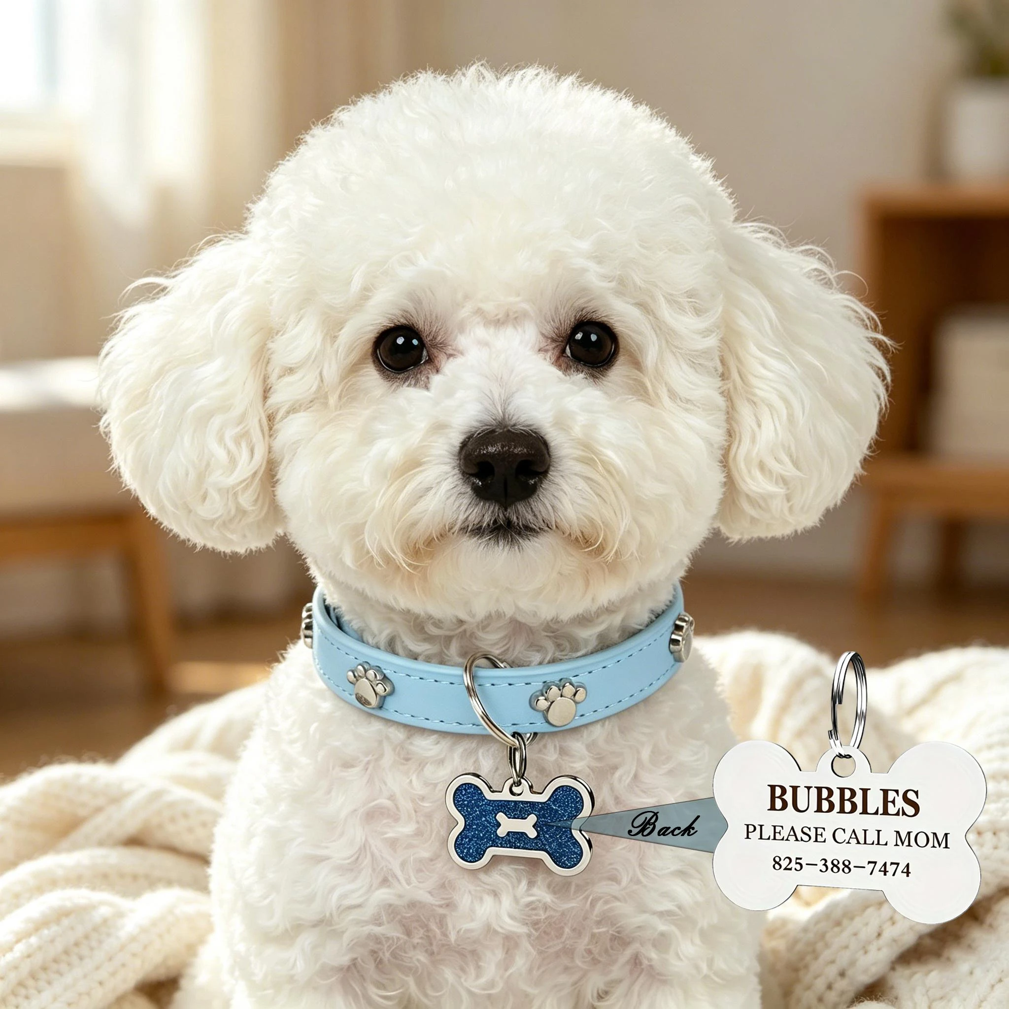 Colliers personnalisés pour animaux de compagnie avec plaque d'identification en forme d'os, décoration anti-perte avec empreinte de patte, cadeau accessoire idéal pour protéger les animaux de compagnie en extérieur
