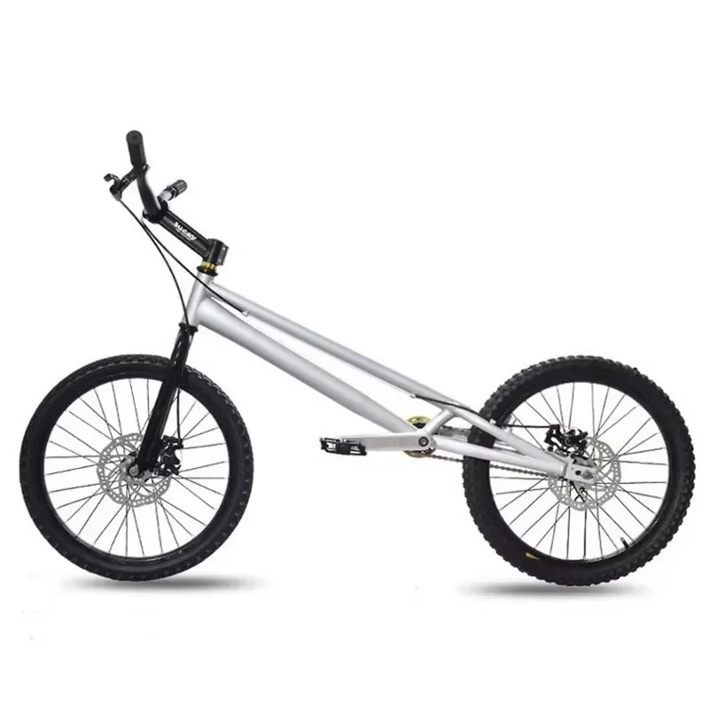 High Quality 20 Inch Professional Bike Trial Extreme BMX Street Climbing Fixed Gear Bike Freestyle Show Bike