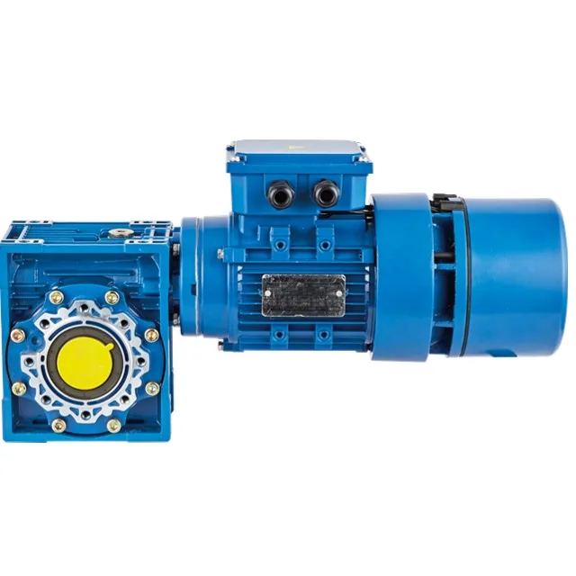 Worm Gear Reducer NMRV025 NMRV030 NMRV040 NMRV050 NMRV063 NMRV075 NMRV090 with Ac110V 220V 380V Gear Motor