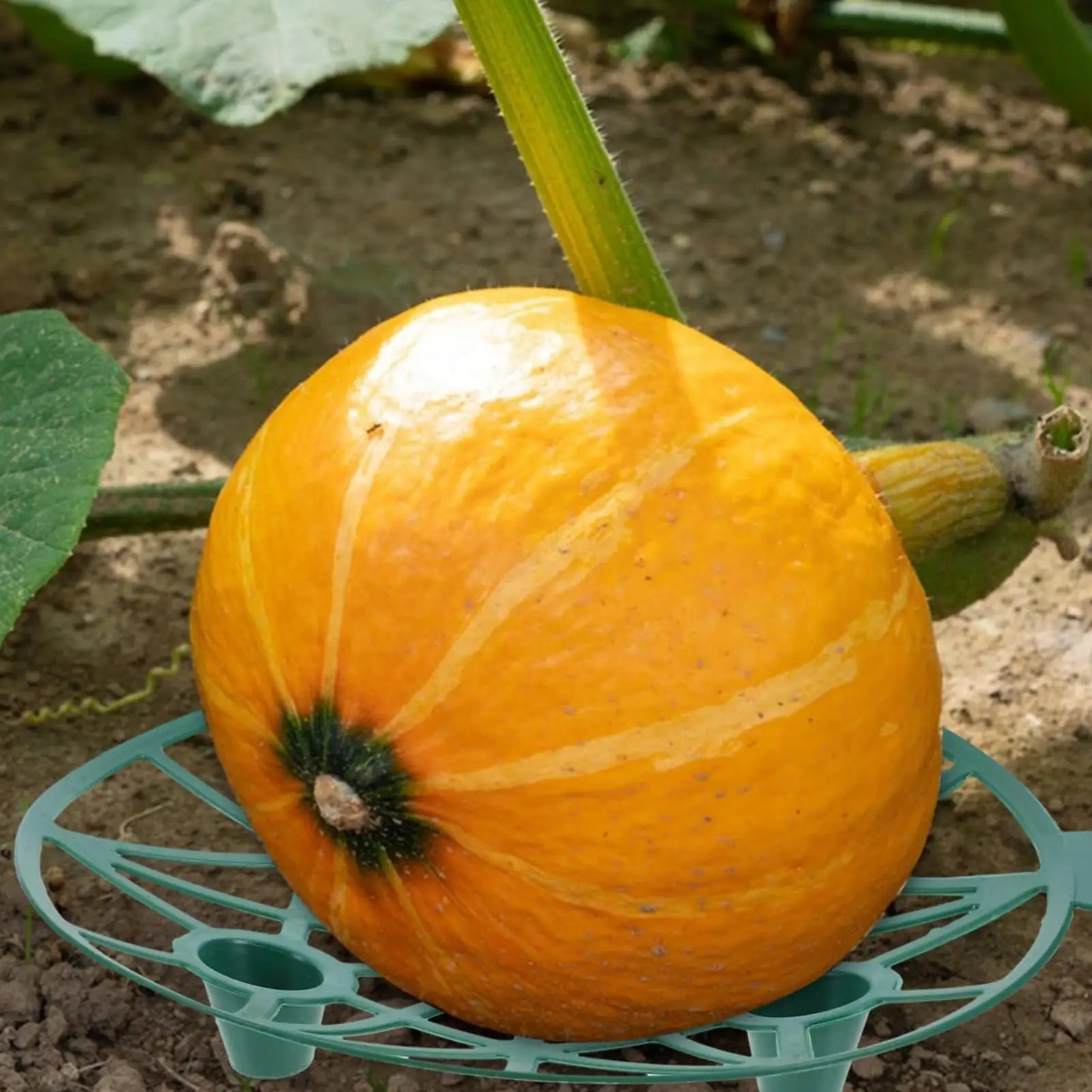 Fruit Growing Tray Pumpkin Support Tray Watermelon Cradle For Fruit Vegetable Pumpkin Strawberry Garden Greenhouse Planting