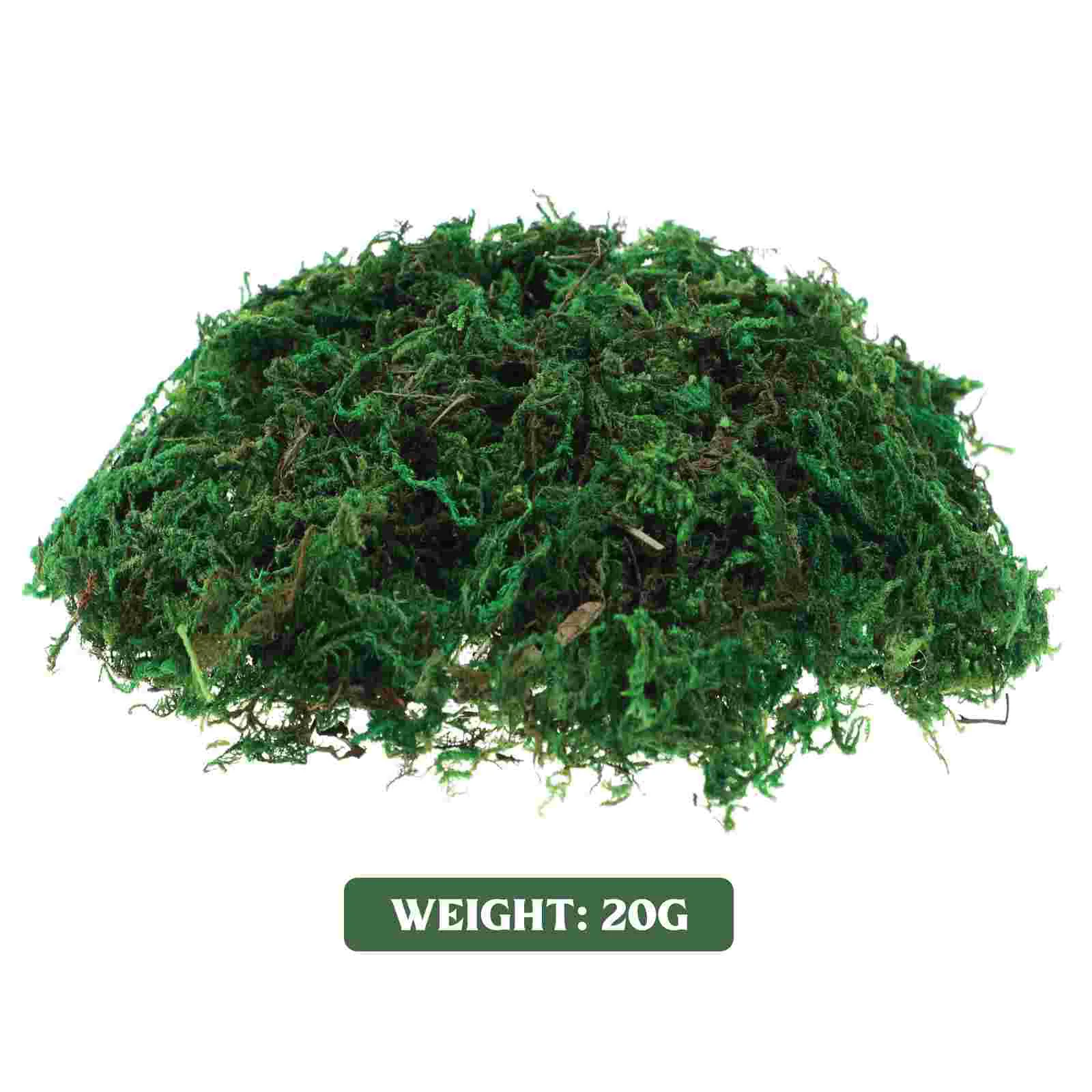 Decorative Fake Moss for Centerpieces Aftificial Plants Crafts Green Preserved Perlite