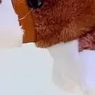 الكرتون أفخم المهر المفاتيح لطيف محشوة الحيوان الحصان حلقة رئيسية حقيبة قلادة على ظهره معلقة الديكور الحصان هدية السنة