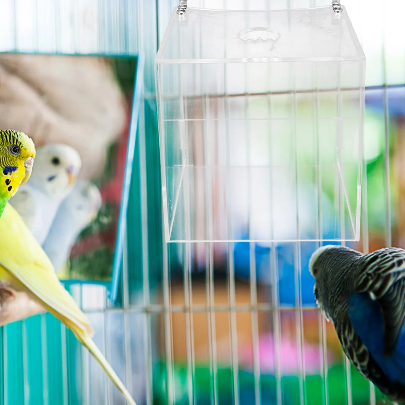 

Creative Transparent Acrylic Parrot Bath Box No-Leakage Durable Bathtub Cage Shower Bath Tube Cage Bird Shower Box Pet Bird