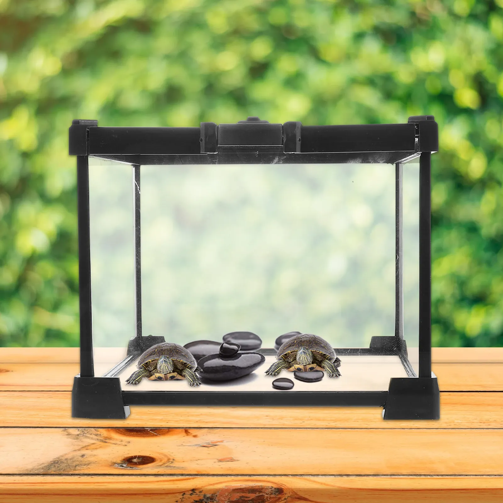 

1Set Reptile Anti-Escape Case Transparent Turtle Breeding Box Medium Size Portable Reptile Breeding Container for Geckos Hermit