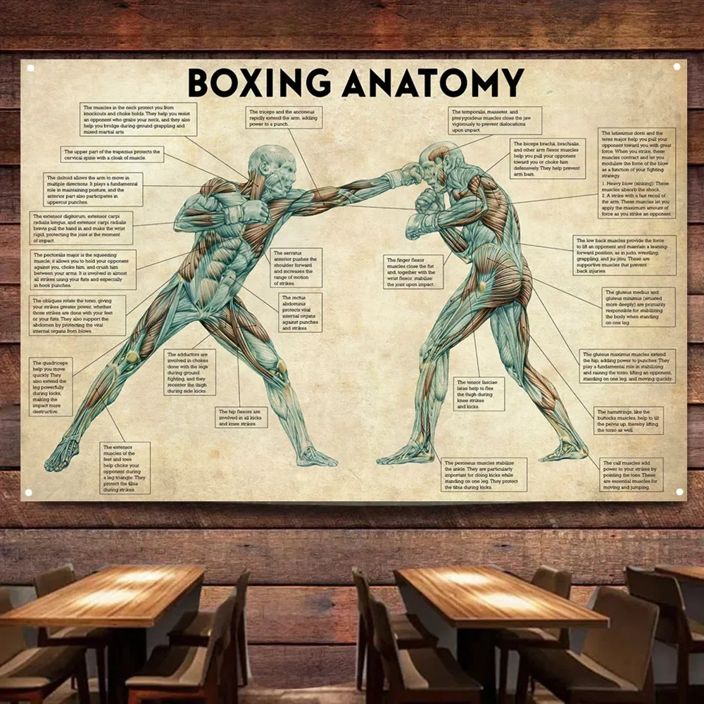 BOXING ANATOMY Art Poster Wall Charts, Combat Sports Wall Art Decoration Banner Wall Hanging Flag Tapestry For Gym Fighting Hall